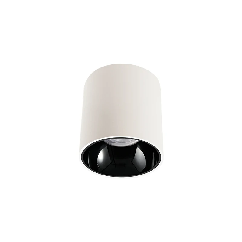ORO 170 Surface Down Light