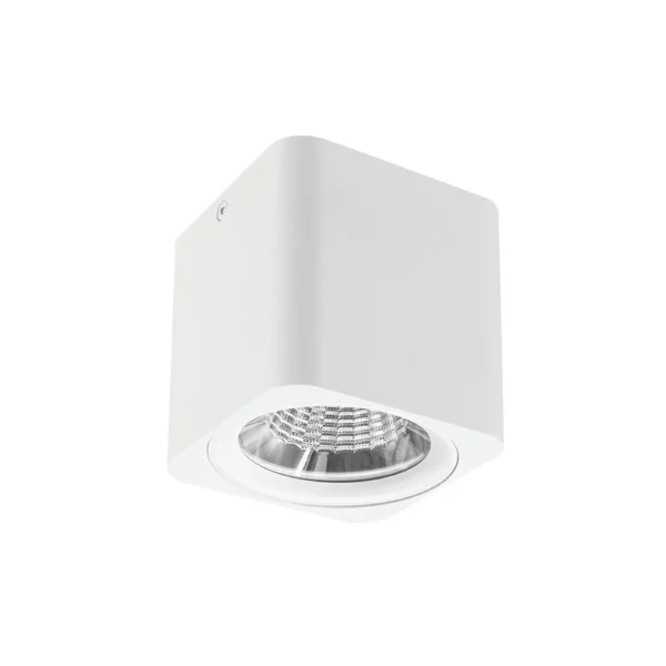 HELLAS 90R Square Surface Down Light